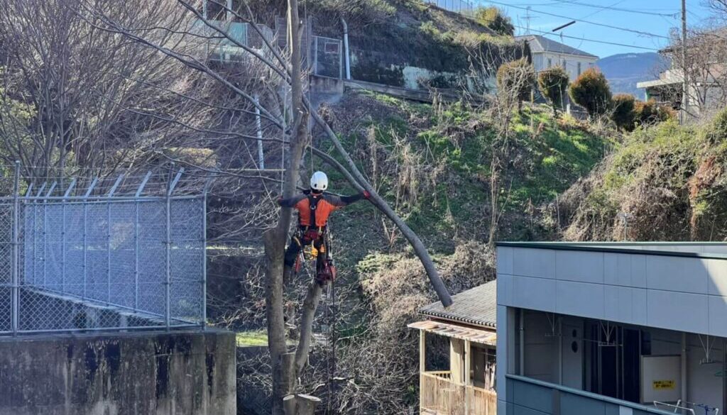 LINE_ALBUM_笛印　中本邸　玉名市天水町_230419_34